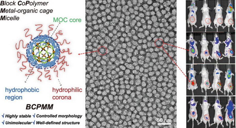 2022-Jun: Paper on block co-polyMOC micelles and structural synergy as composite nanocarriers is published in ACS Applied Materials & Interfaces!