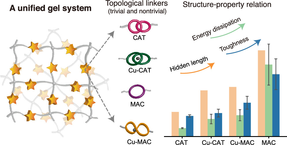 2026-May: Paper on role of molecular topology elucidated in unified gels appears online at JACS.